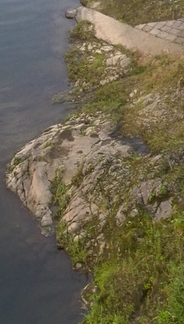 f:id:garimpo:20150504183439j:image