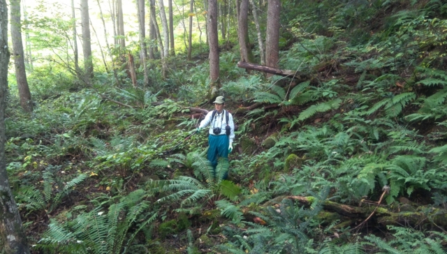 f:id:garimpo:20151013133045j:image f:id:garimpo:20151013133045j:image