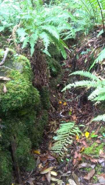 f:id:garimpo:20151013134239j:image f:id:garimpo:20151013134239j:image