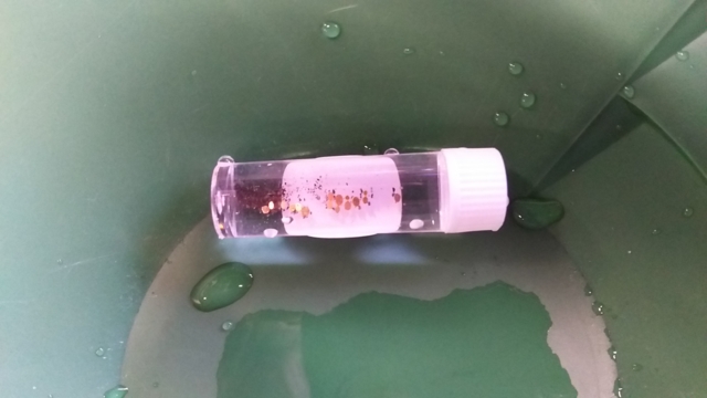 f:id:garimpo:20170114161537j:image