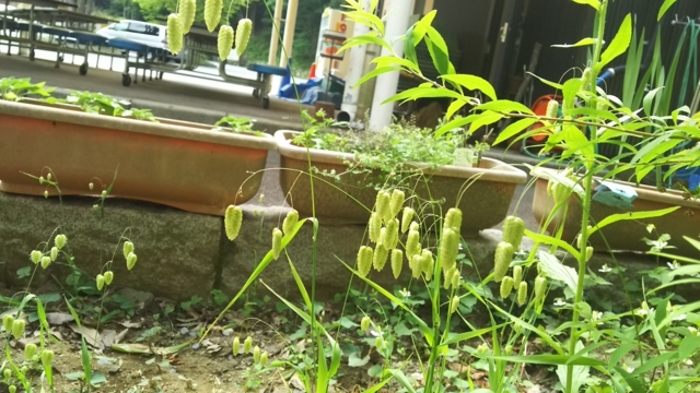 f:id:garimpo:20180529091822j:image