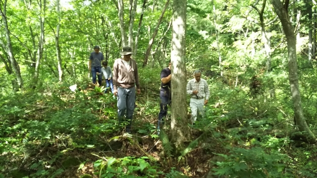 f:id:garimpo:20180917100808j:image