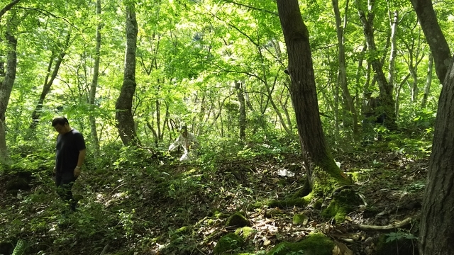 f:id:garimpo:20180917100858j:image