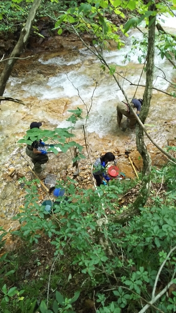 f:id:garimpo:20180917123734j:image