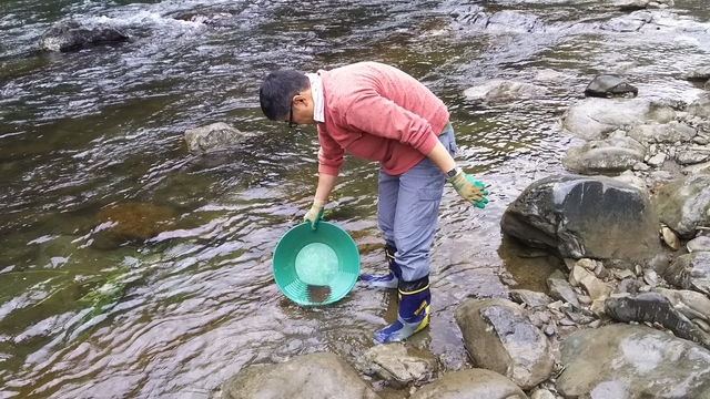 f:id:garimpo:20181027130924j:image