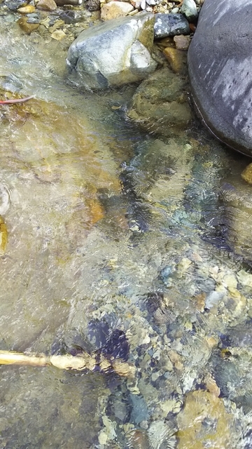 f:id:garimpo:20181202122117j:image