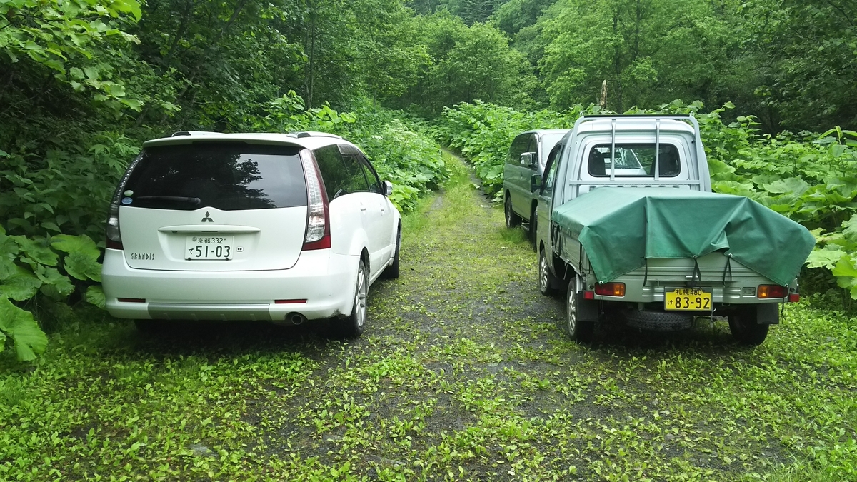 f:id:garimpo:20190702110741j:plain