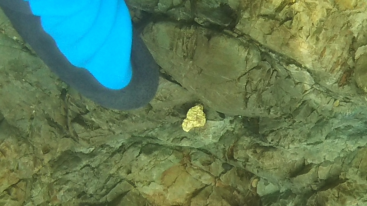 f:id:garimpo:20190704125021j:plain