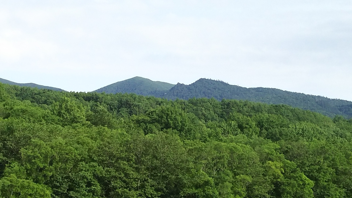 f:id:garimpo:20190704164531j:plain