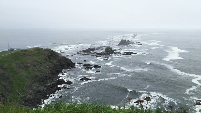 f:id:garimpo:20190724152851j:plain f:id:garimpo:20190724152851j:plain