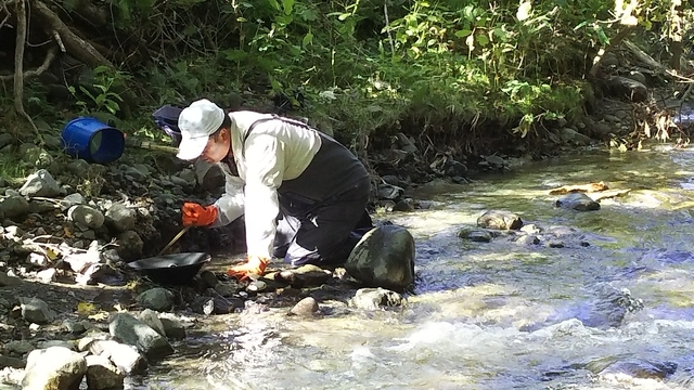 f:id:garimpo:20191015135759j:plain