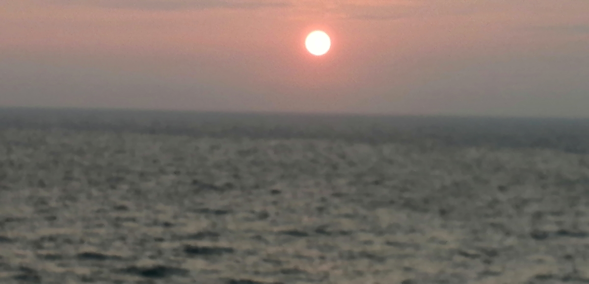 f:id:garimpo:20200819181831j:plain