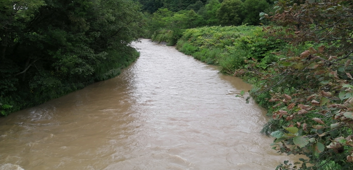 f:id:garimpo:20200820120058j:plain