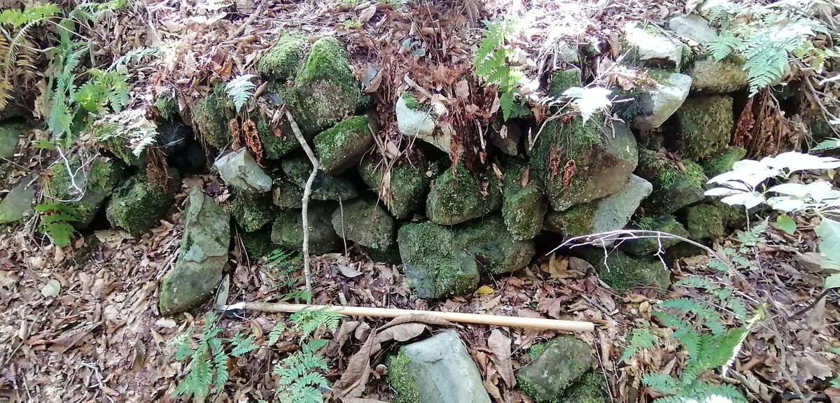 f:id:garimpo:20211004103128j:plain