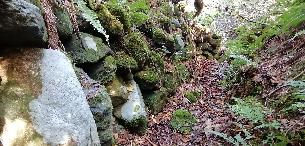 f:id:garimpo:20211004104206j:plain