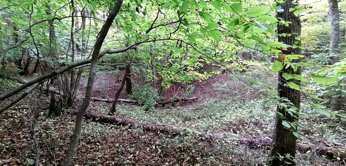 f:id:garimpo:20211031145613j:plain