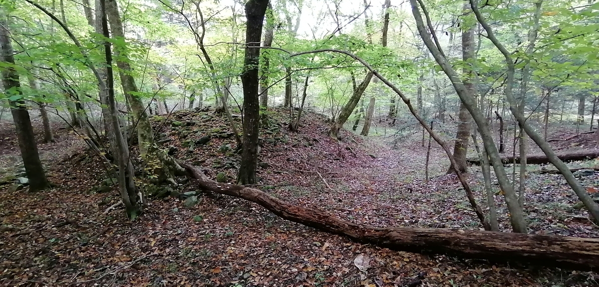 f:id:garimpo:20211031145806j:plain