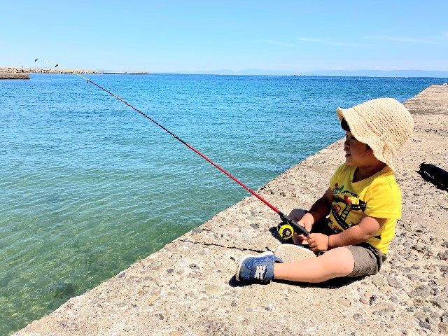 f:id:garkun484:20200910131237j:image f:id:garkun484:20200910131237j:image