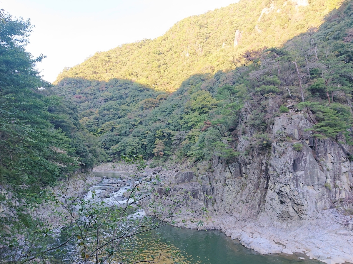 f:id:garkun484:20201108230624j:plain