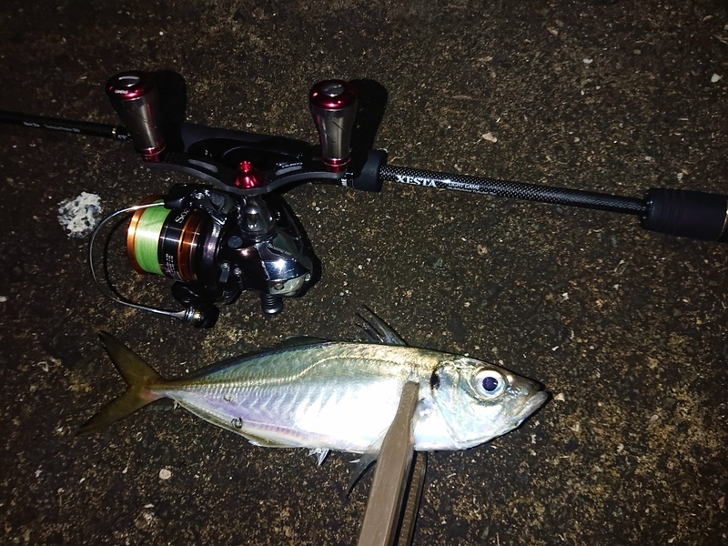 f:id:garkun484:20210712015428j:plain