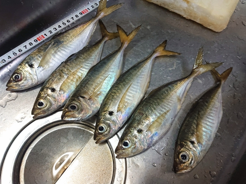 f:id:garkun484:20210712015529j:plain