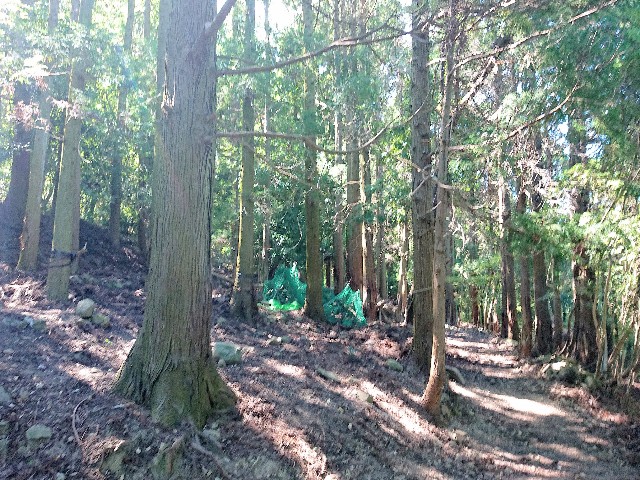 f:id:garkun484:20210820082025j:image f:id:garkun484:20210820082025j:image