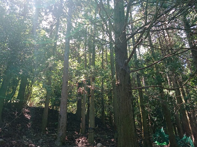 f:id:garkun484:20210820082052j:image f:id:garkun484:20210820082052j:image