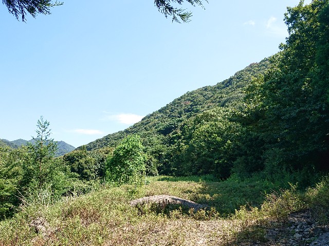 f:id:garkun484:20210820082224j:image f:id:garkun484:20210820082224j:image