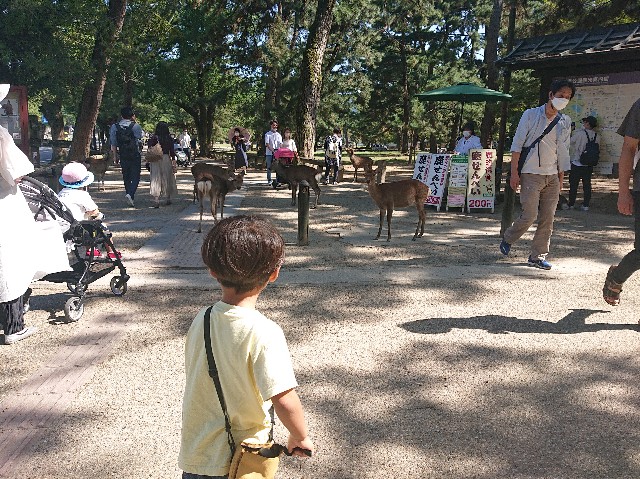 f:id:garkun484:20211011185048j:image