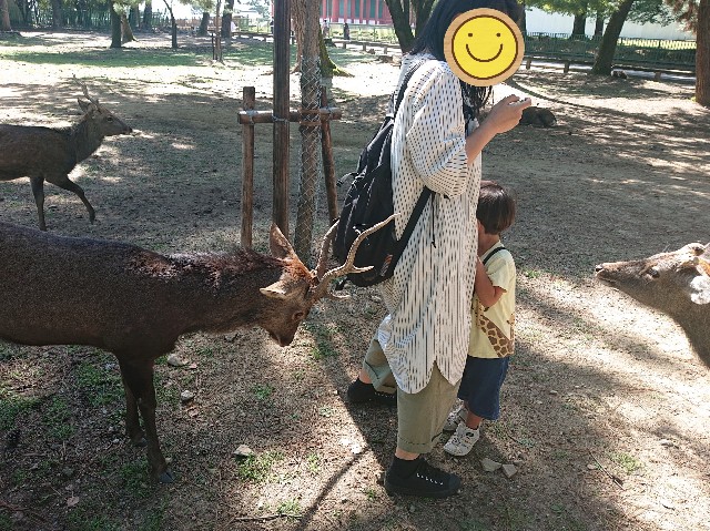 f:id:garkun484:20211011185426j:image