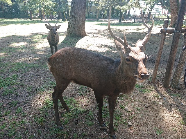 f:id:garkun484:20211011185551j:image