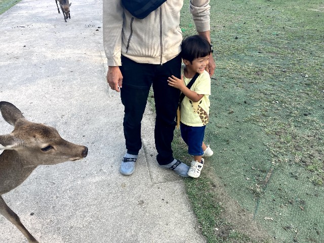 f:id:garkun484:20211011185653j:image