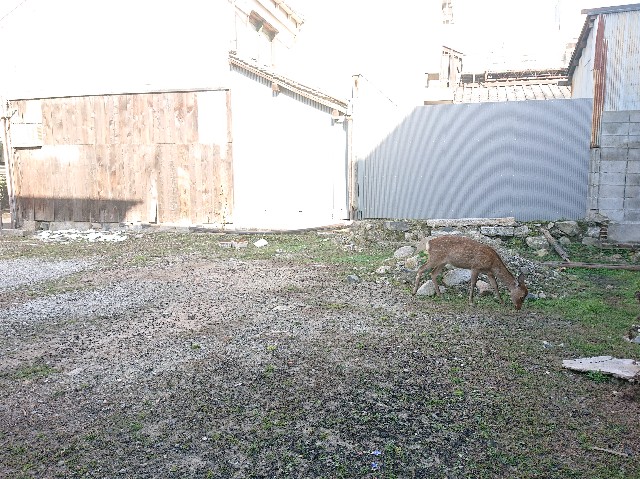 f:id:garkun484:20211012081656j:image