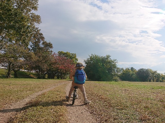 f:id:garkun484:20211119081641j:image f:id:garkun484:20211119081641j:image