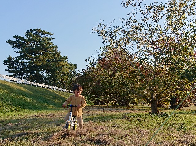 f:id:garkun484:20211119081921j:image f:id:garkun484:20211119081921j:image