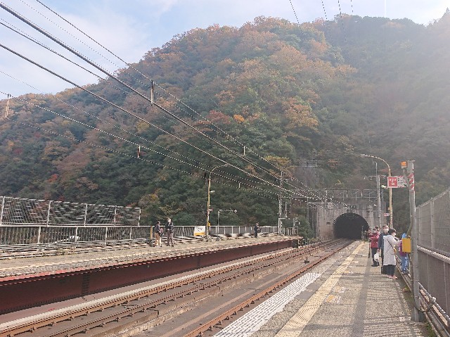 f:id:garkun484:20211202102154j:image