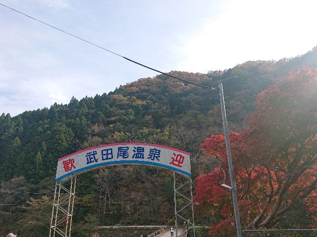 f:id:garkun484:20211202103054j:image