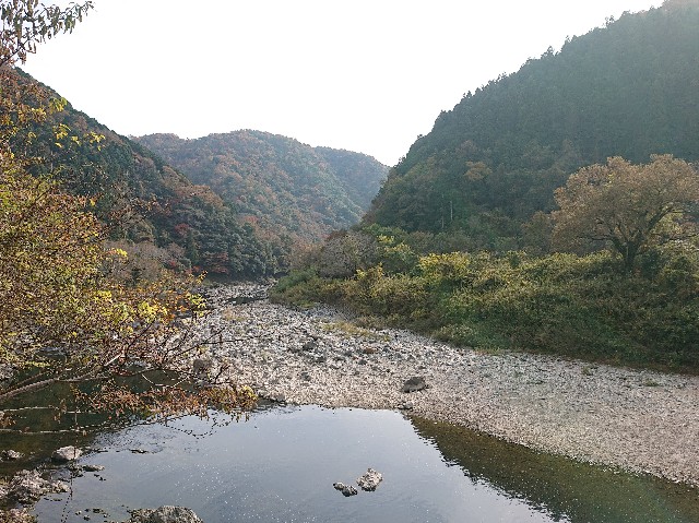 f:id:garkun484:20211202103734j:image