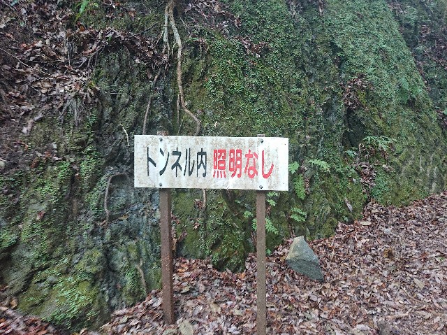 f:id:garkun484:20211202103805j:image