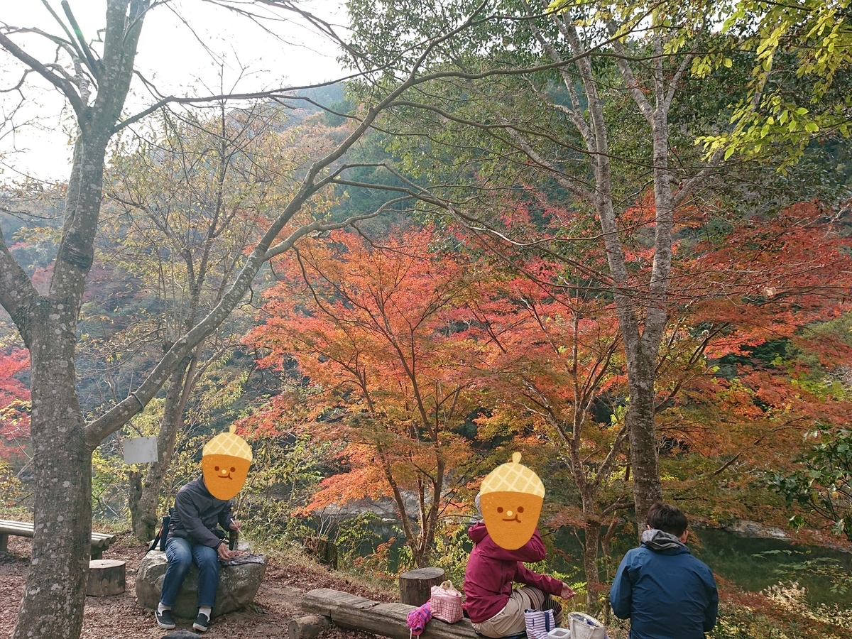 f:id:garkun484:20211202105140j:plain