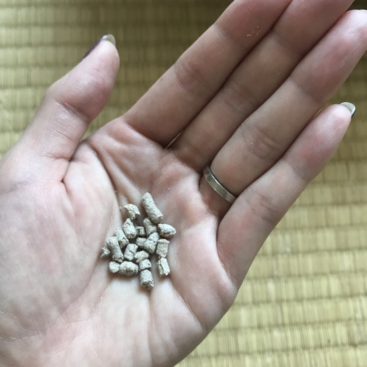 f:id:garlic_k:20210811120516j:plain
