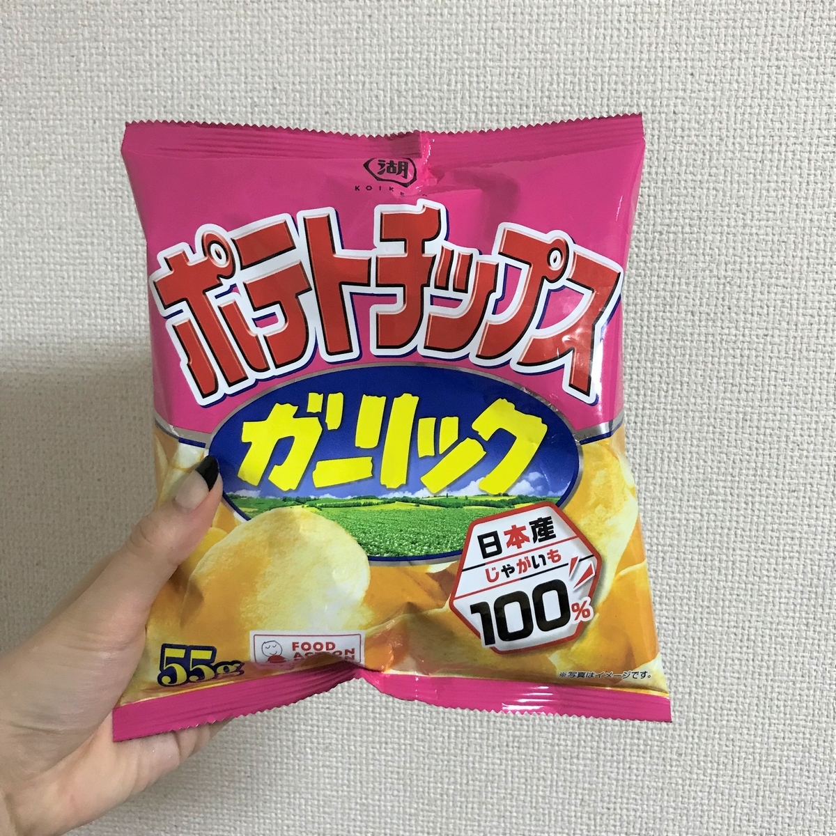 f:id:garlic_k:20211016170949j:plain