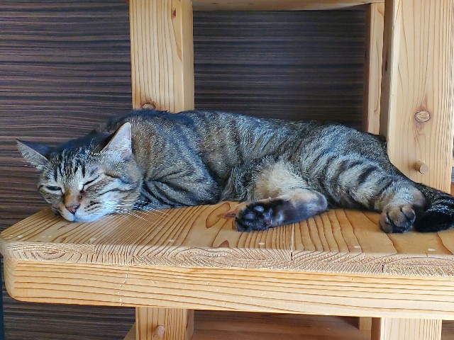 f:id:garomilk:20211003174530j:image