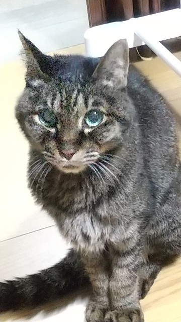 f:id:garomilk:20231026182333j:image