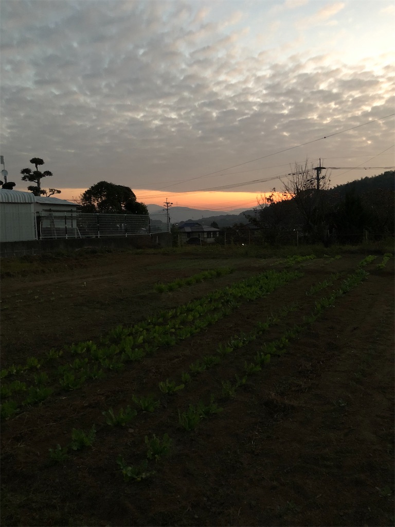 f:id:garron:20221111175127j:image