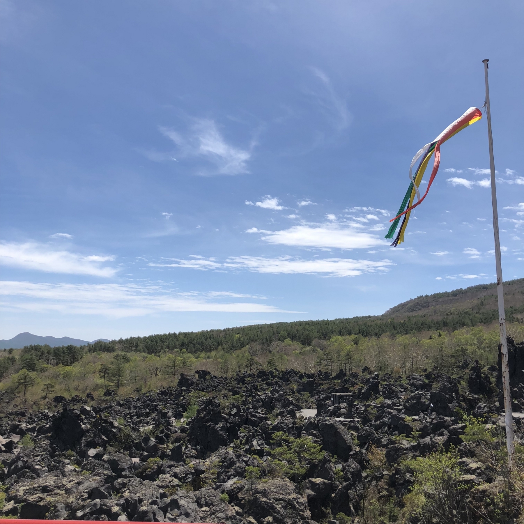 f:id:garusi:20180511231118j:plain f:id:garusi:20180511231118j:plain