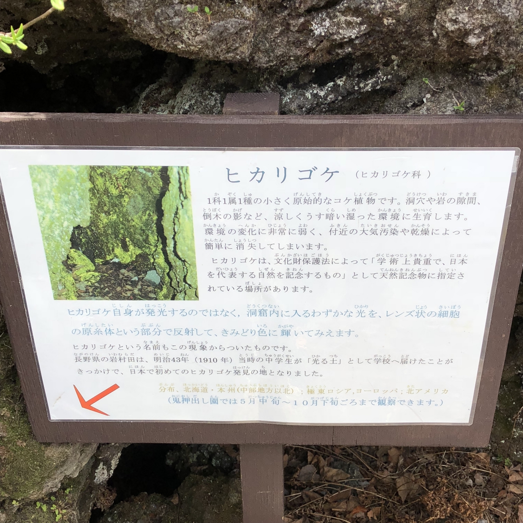 f:id:garusi:20180511231346j:plain f:id:garusi:20180511231346j:plain