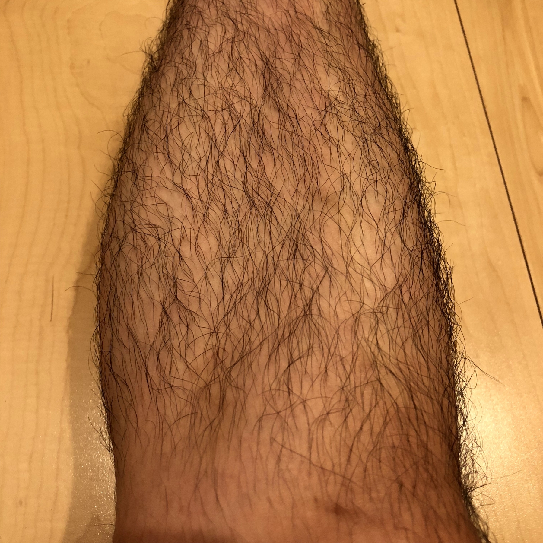 f:id:garusi:20180813220441j:plain