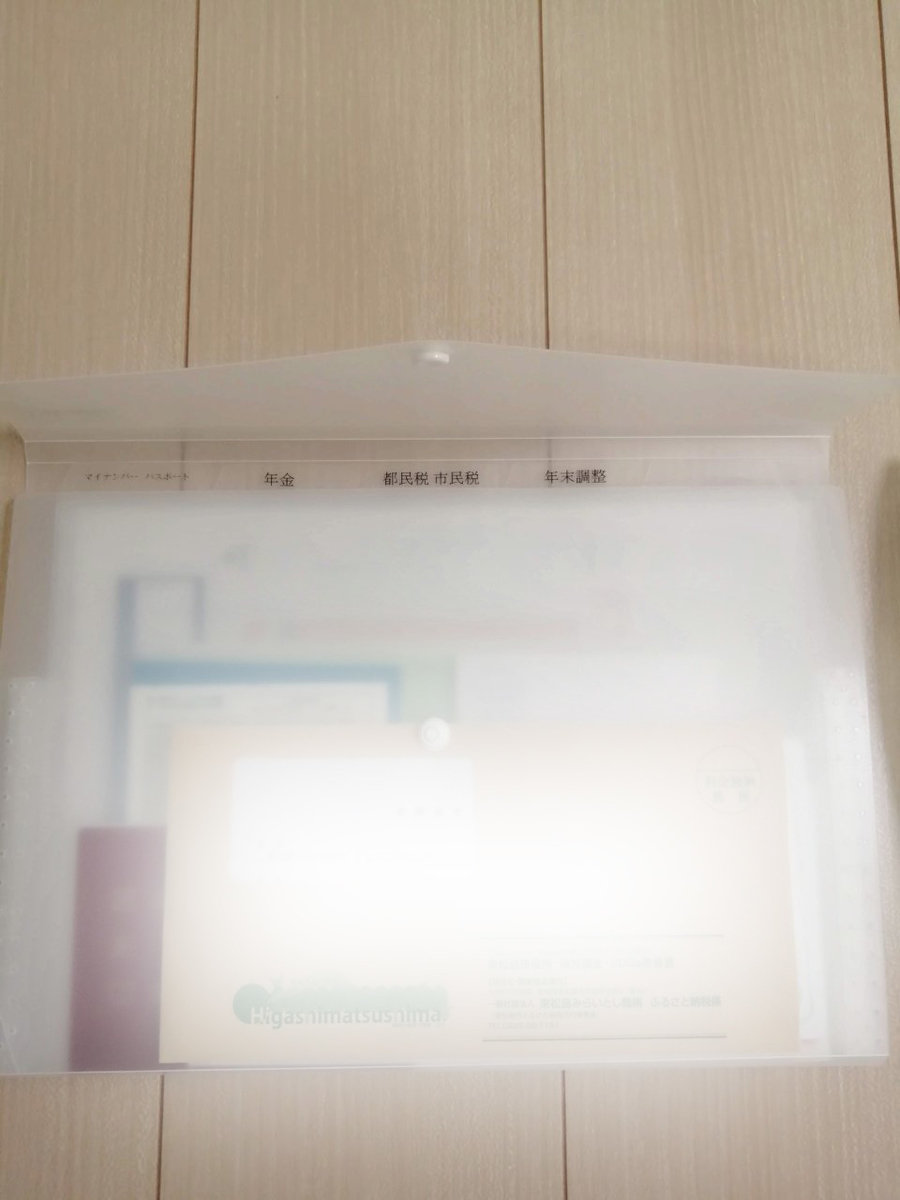 f:id:gaseri:20201216224904j:plain