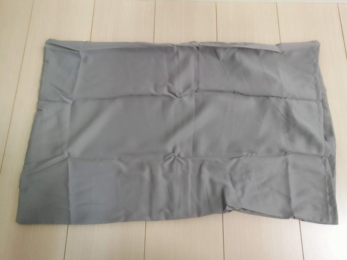 f:id:gaseri:20210613151935j:plain